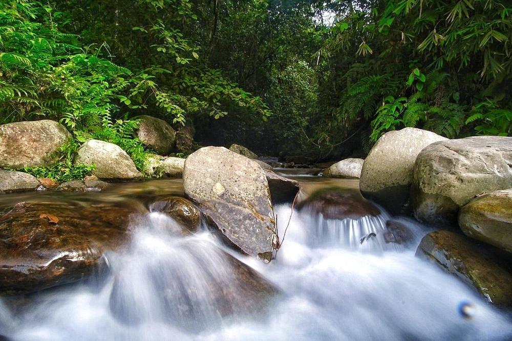 Batu Kapal Guest House & Jungle Trekking Букіт-Лаванґ Екстер'єр фото