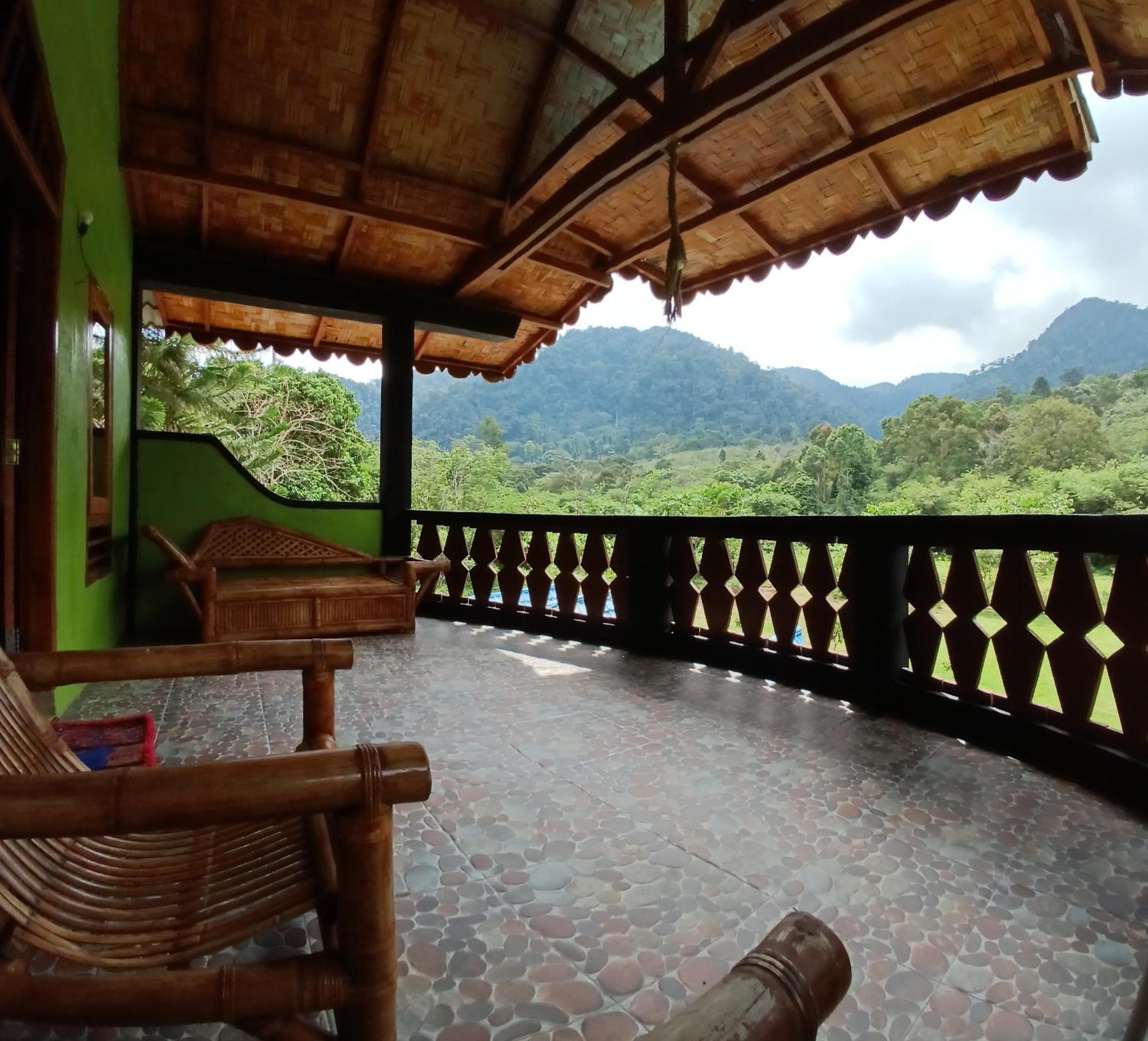 Batu Kapal Guest House & Jungle Trekking Букіт-Лаванґ Екстер'єр фото