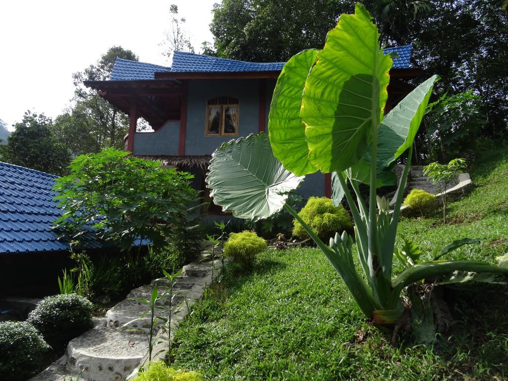 Batu Kapal Guest House & Jungle Trekking Букіт-Лаванґ Екстер'єр фото