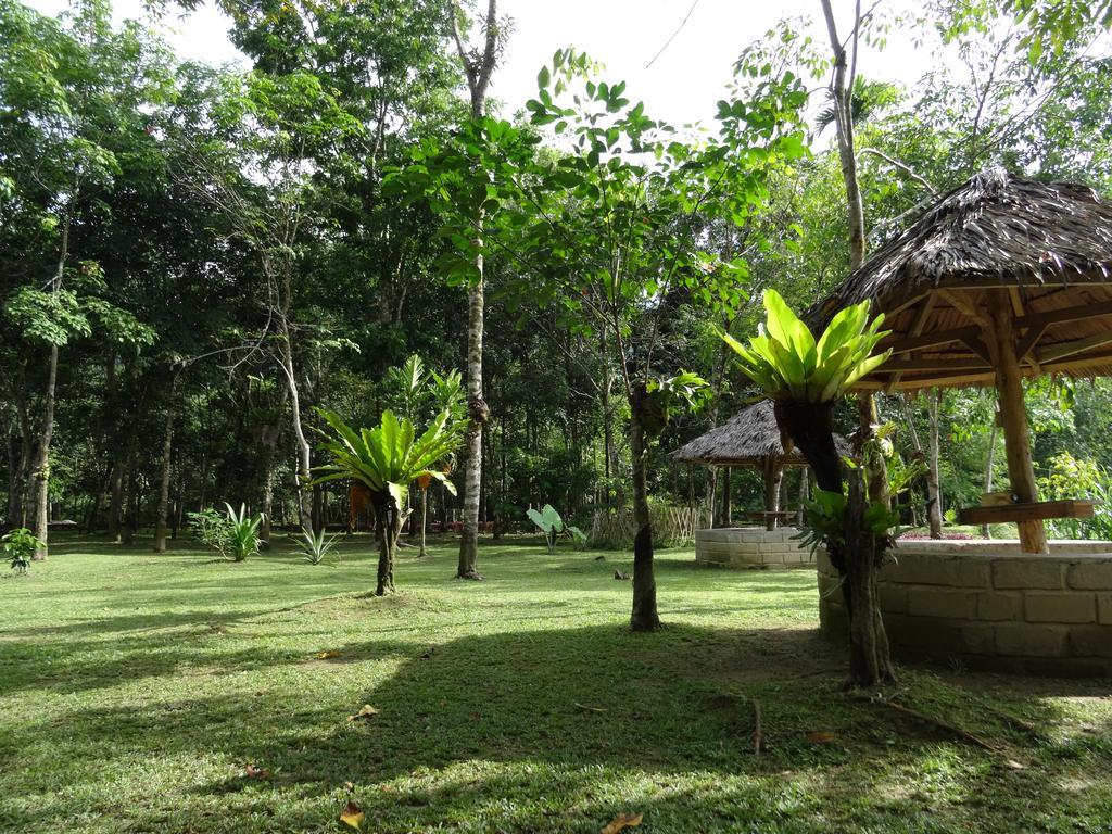 Batu Kapal Guest House & Jungle Trekking Букіт-Лаванґ Екстер'єр фото