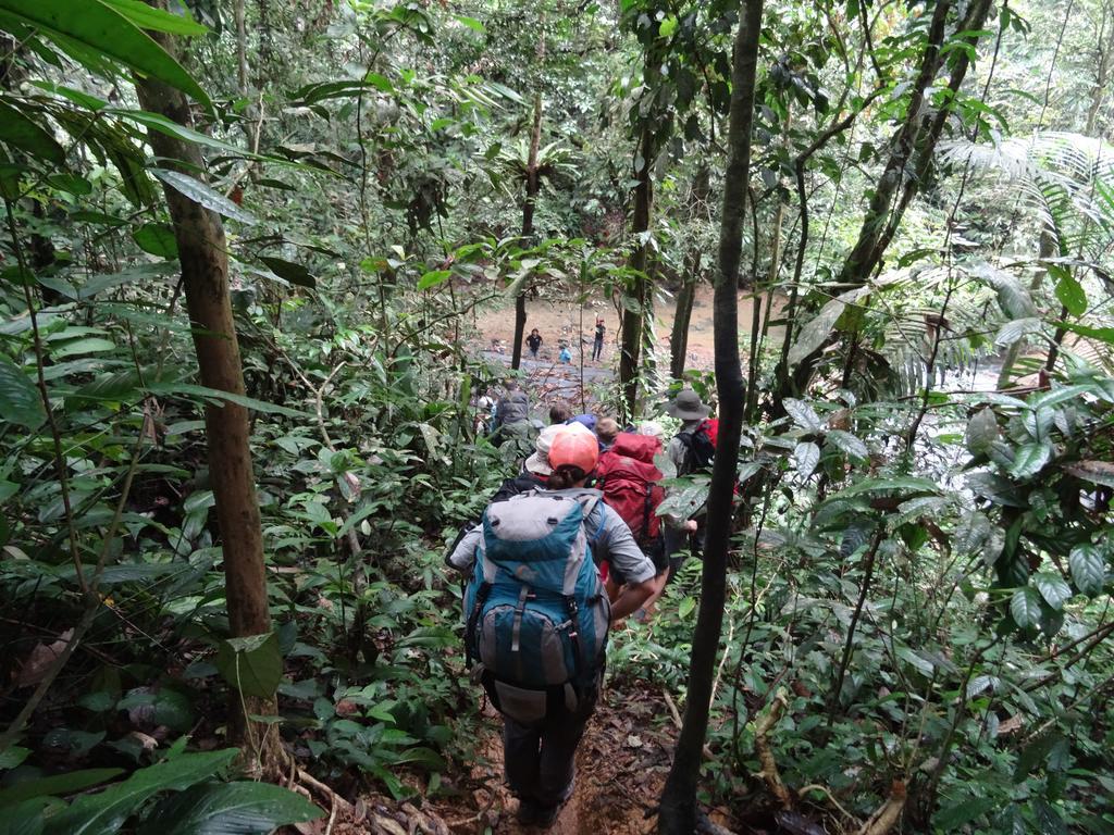 Batu Kapal Guest House & Jungle Trekking Букіт-Лаванґ Екстер'єр фото