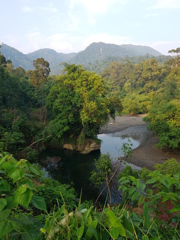 Batu Kapal Guest House & Jungle Trekking Букіт-Лаванґ Екстер'єр фото